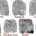 what is the rarest fingerprint 8 most common fingerprint patterns what is the rarest fingerprint 8 most common fingerprint patterns
