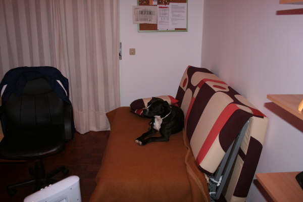 [IMG_6599.JPG]