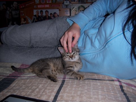 [100_8378.jpg]