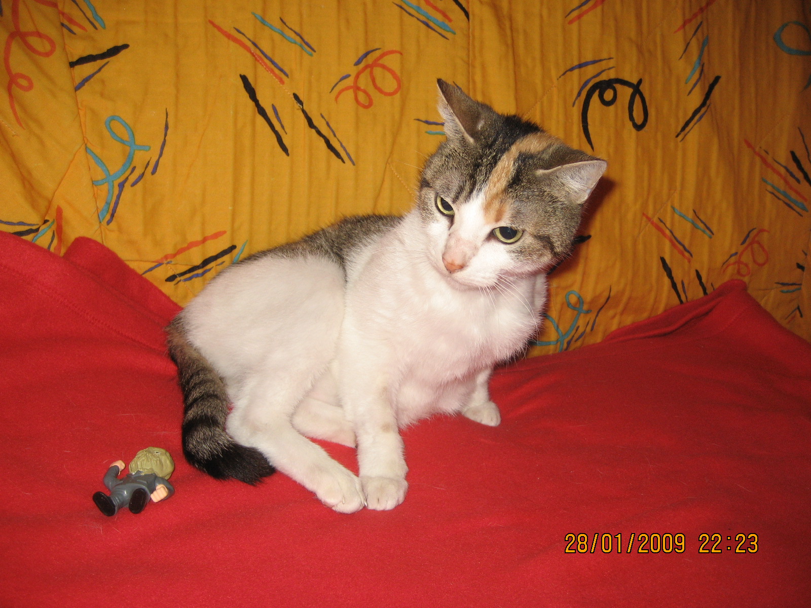 [IMG_4626.JPG]