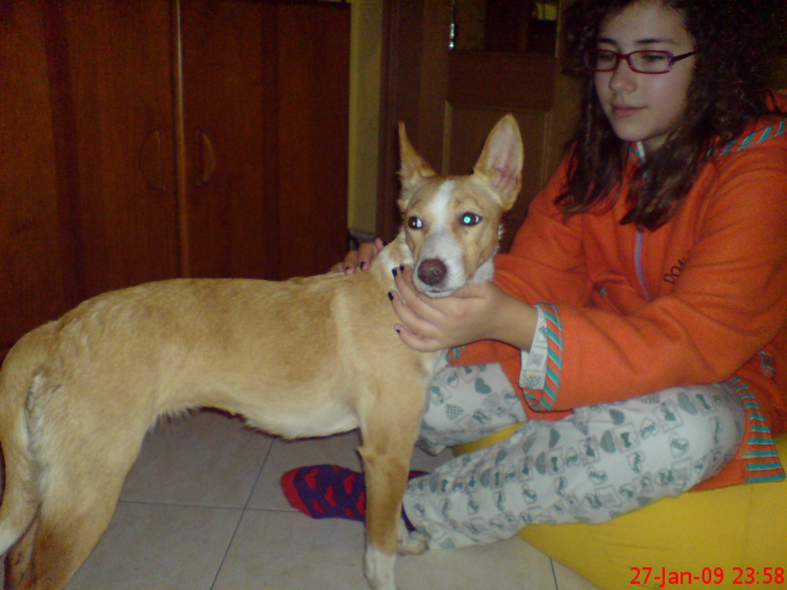 [DSC01060.JPG]