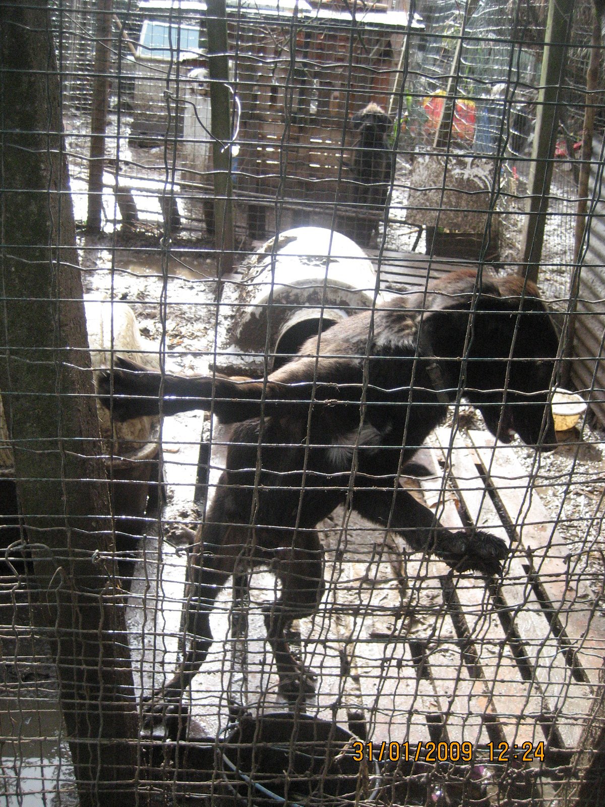 [IMG_4721.JPG]