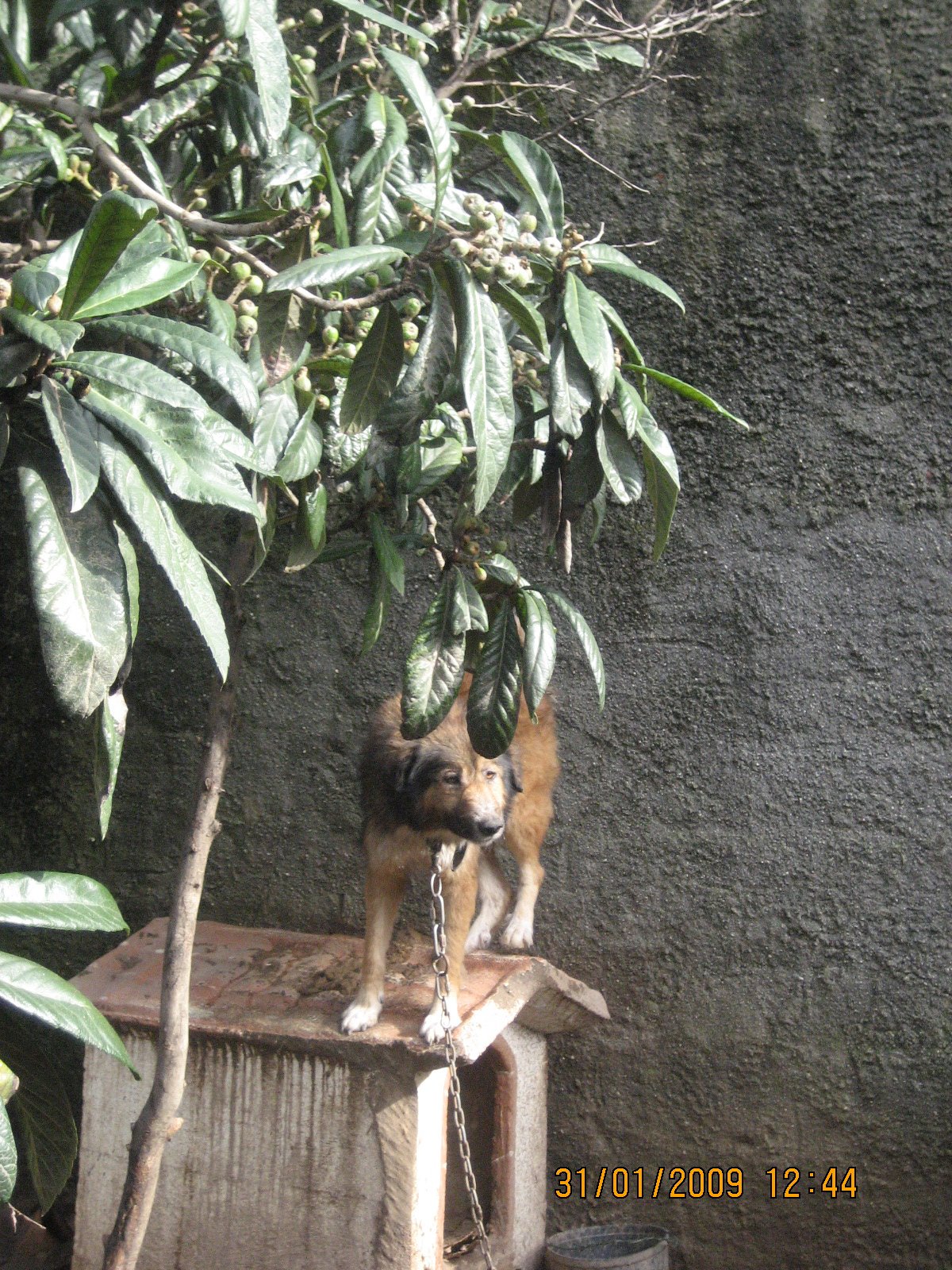 [IMG_4753.JPG]
