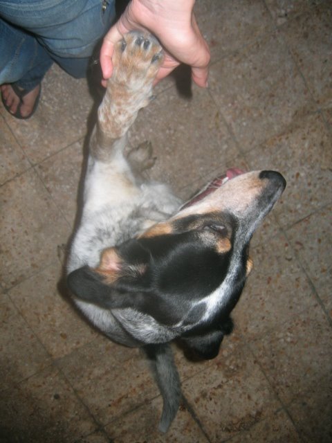 [IMG_9235.JPG]