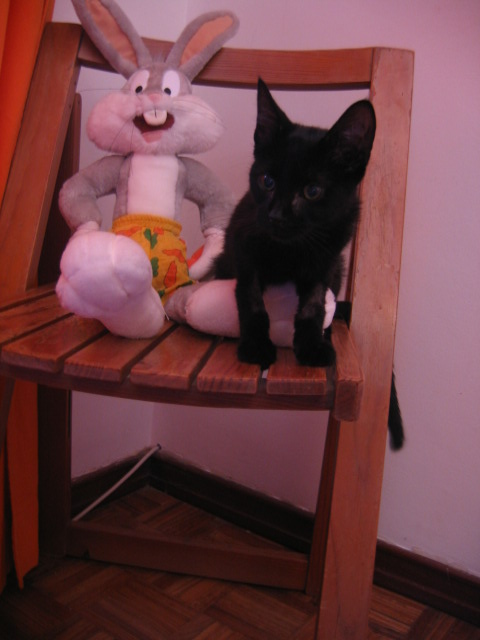 [IMG_1071.JPG]