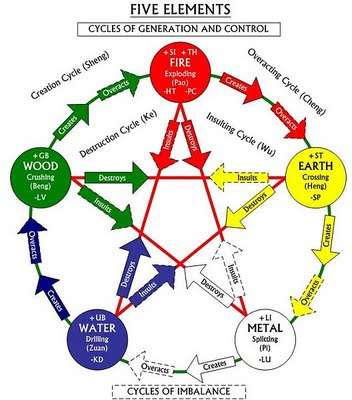 Kinesiology Charts