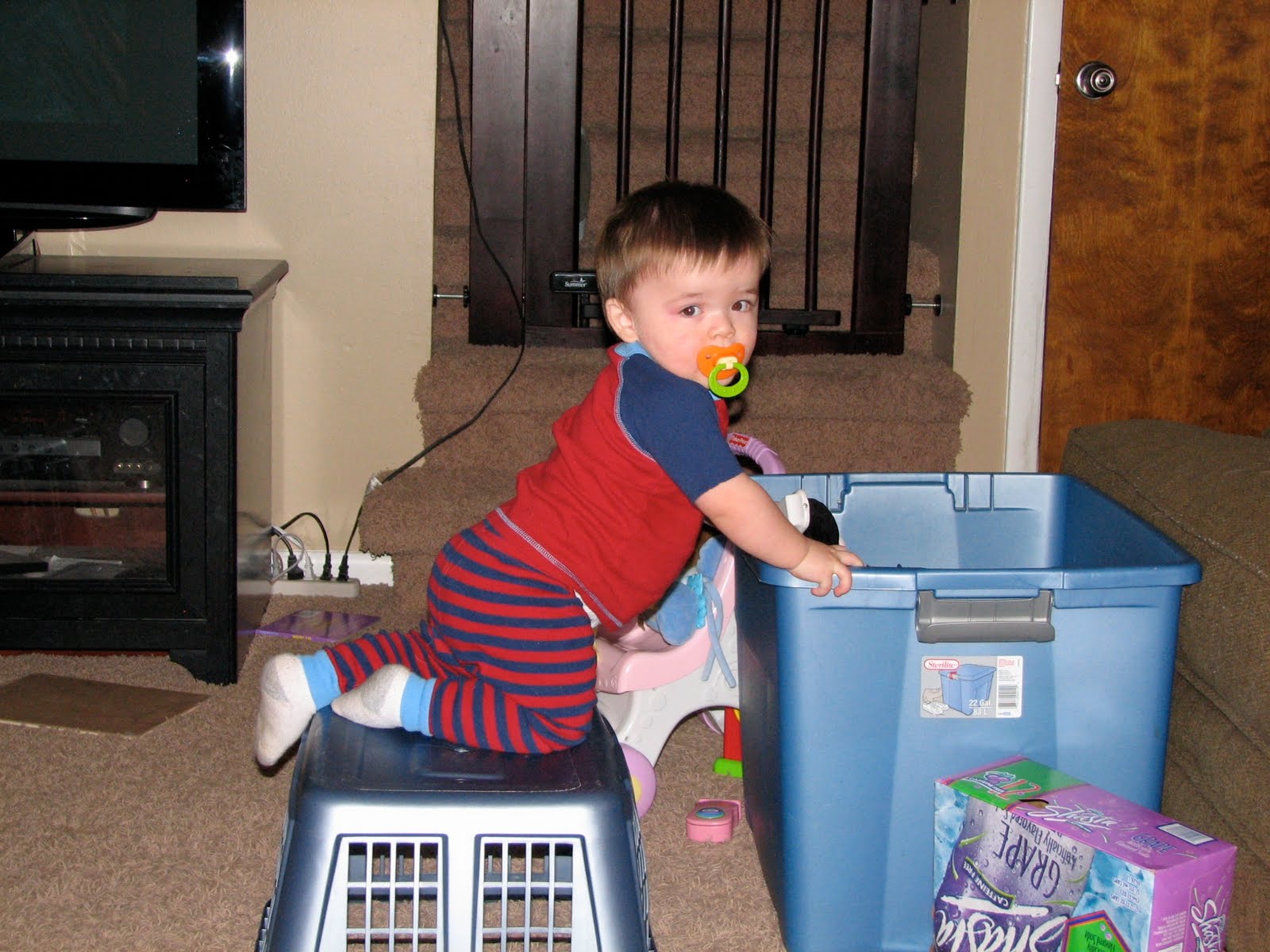 [Alex+Laundry+Basket+Kneel+1109.jpg]
