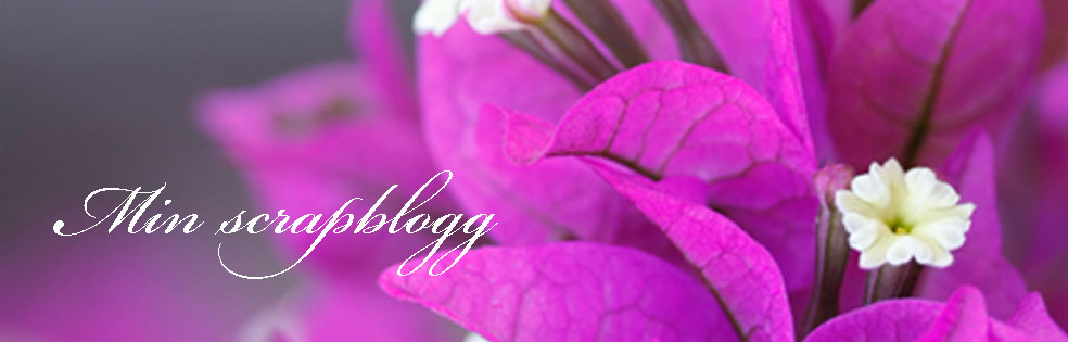 Min scrapblogg