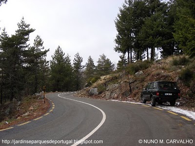 [SERRA_DA_ESTRELA_PORTUGAL_5.jpg]