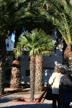 [Jardim+visconde.JPG]