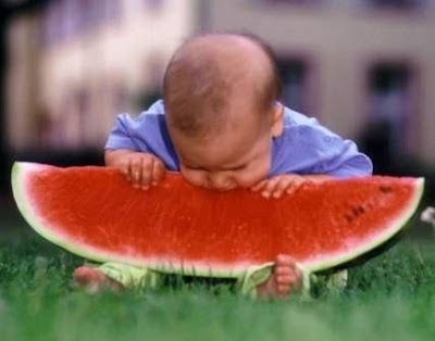 http://2.bp.blogspot.com/_Meeh1QSIXJs/Si7MH1se_jI/AAAAAAAACAc/cnoSFSOElDs/s400/Baby+eating+watermelon.jpg