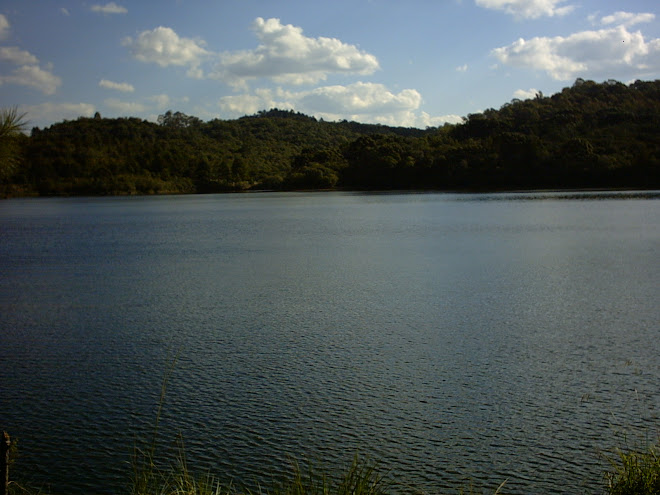 Biodiversidade: Ambiente Desejável!!!!!!