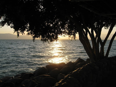 Sun setting over the water with silhouetted trees