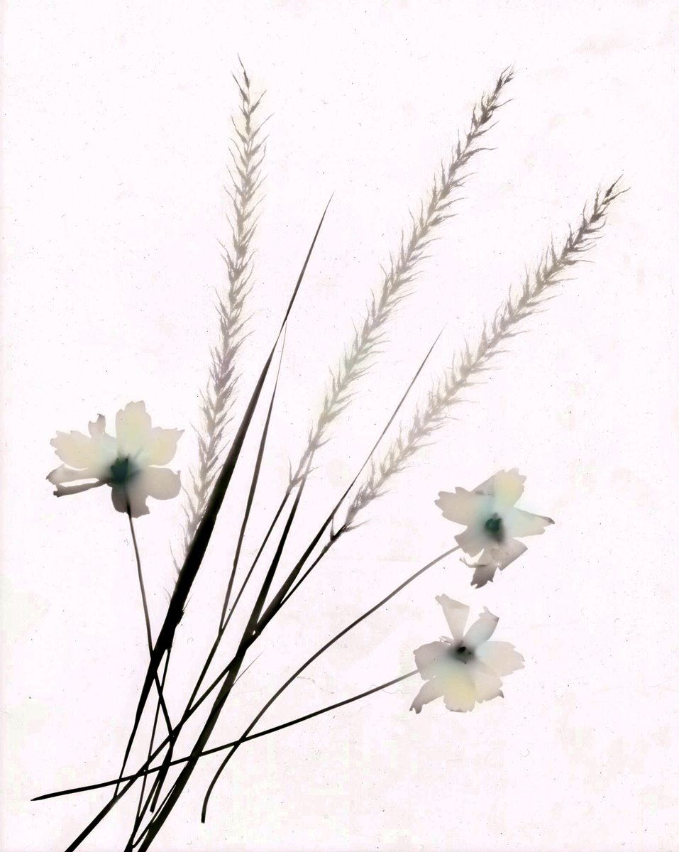 [PhotoGram01_web.jpg]