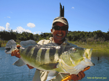 [Tucunaré-de-Ramon-Paz.gif]