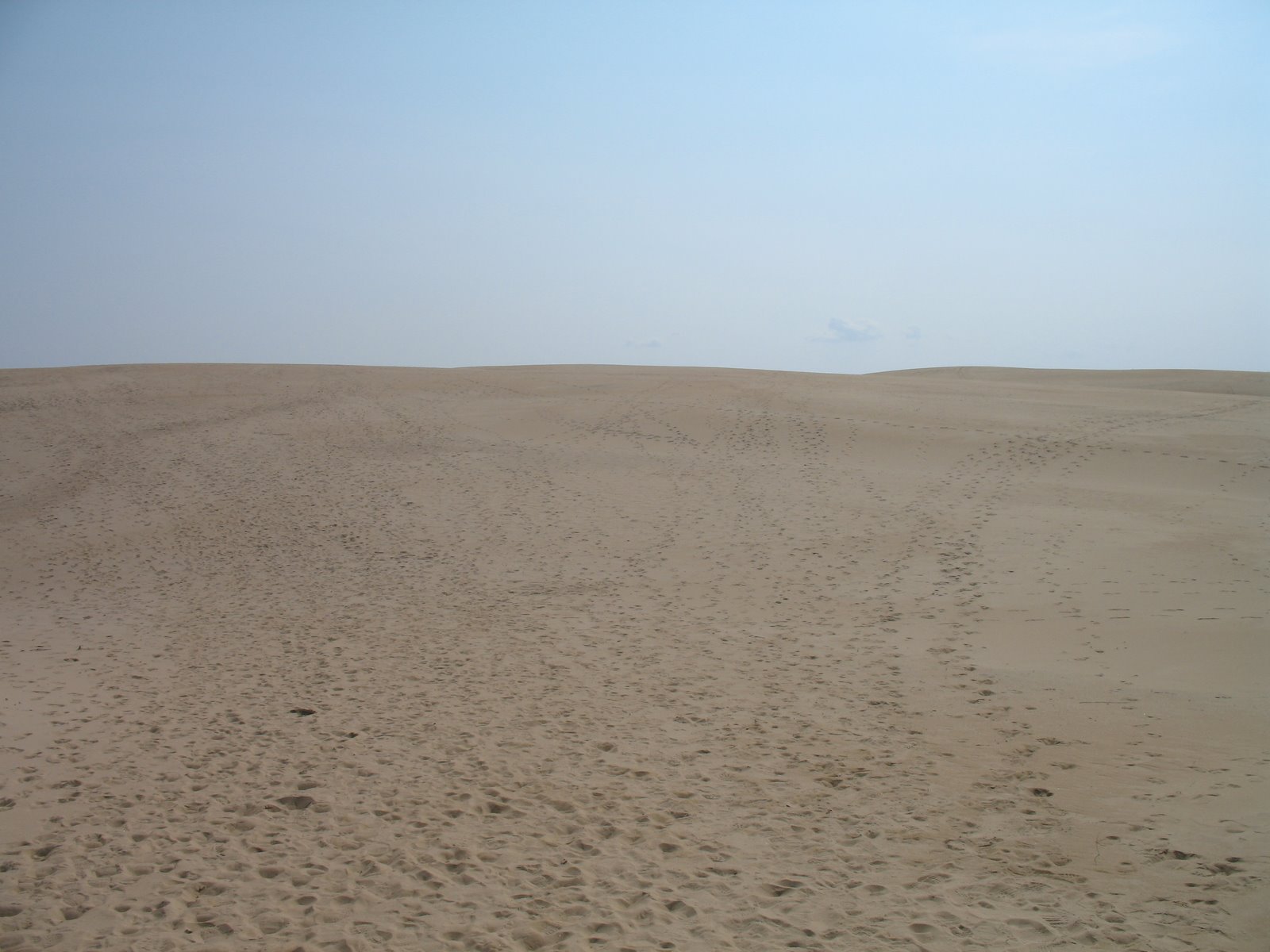[IMG_3258.JPG]