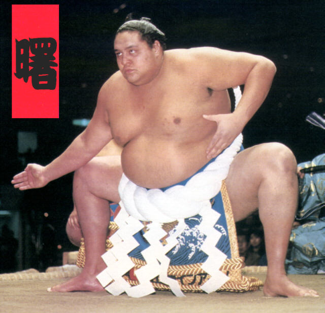 [sumo-01.jpg]