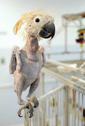 lemmemakeit: January 2011