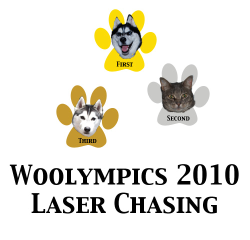 [laser+chasing.jpg]