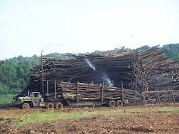 Nearby Lumber Yard