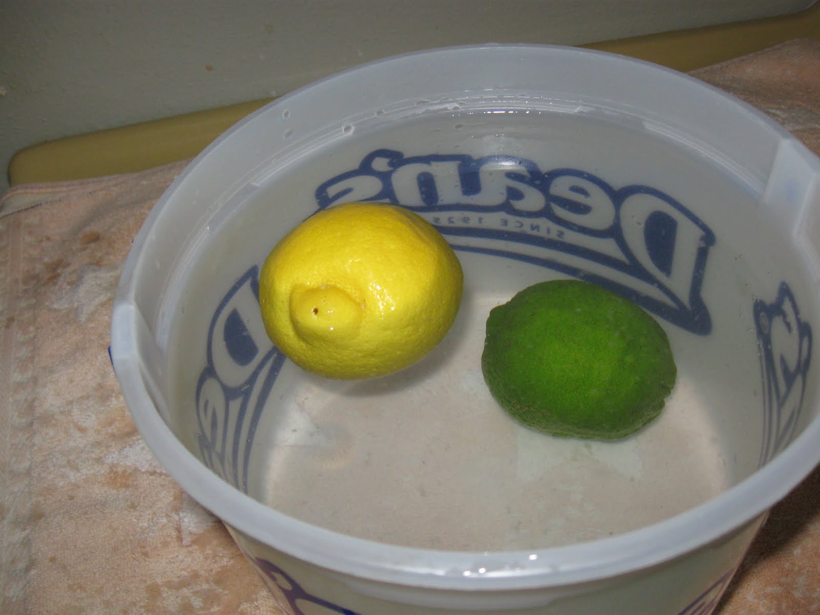 Science Experiments Floating Lemons, Sinking Limes