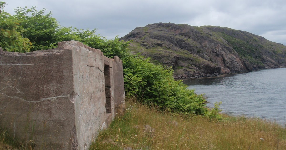 My Newfoundland Kayak Experience Stone's Cove