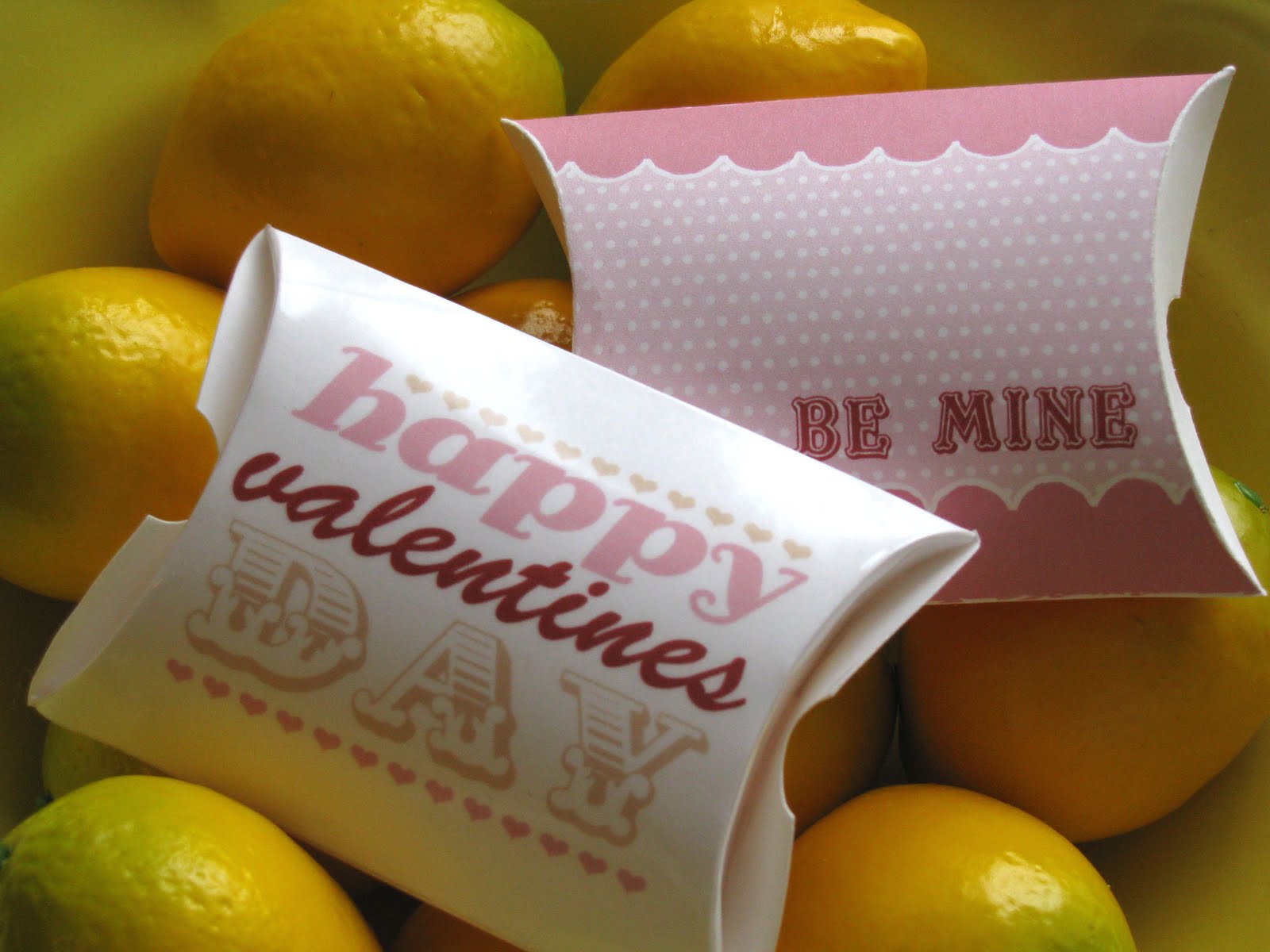 [valentinepillowbox.JPG]