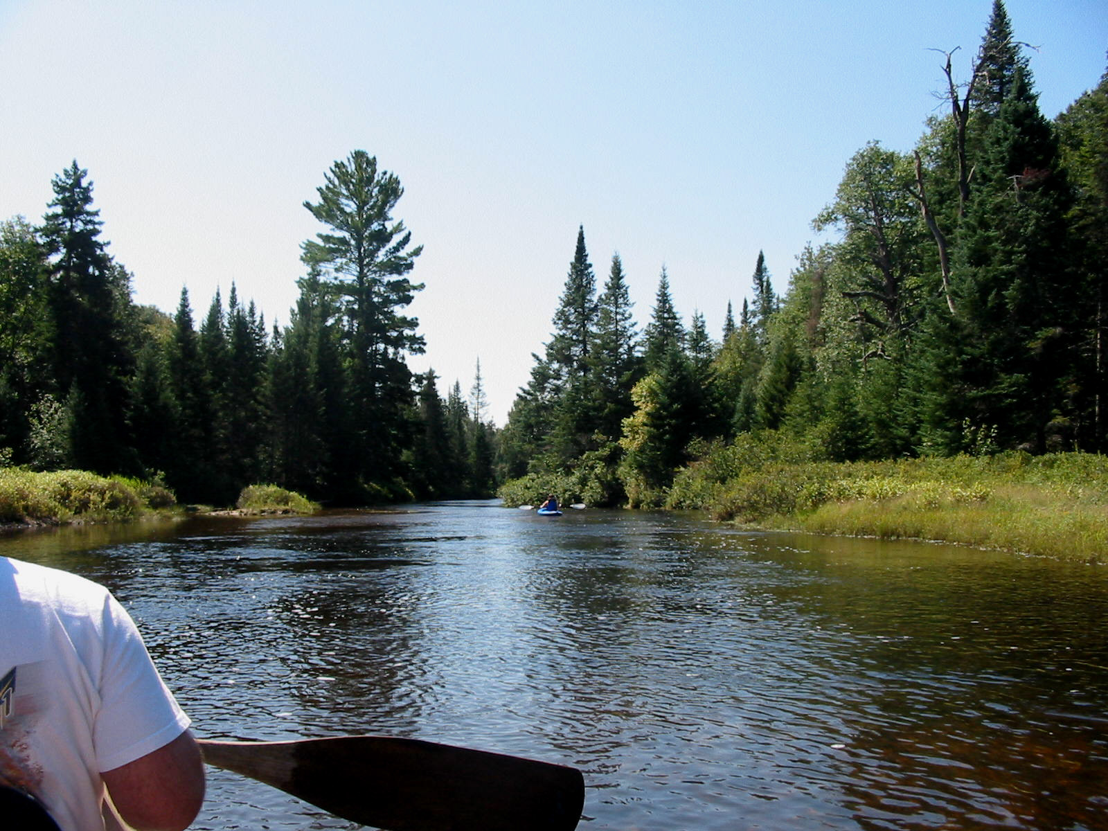 The Moonlight Gardener Moose River, Old NY