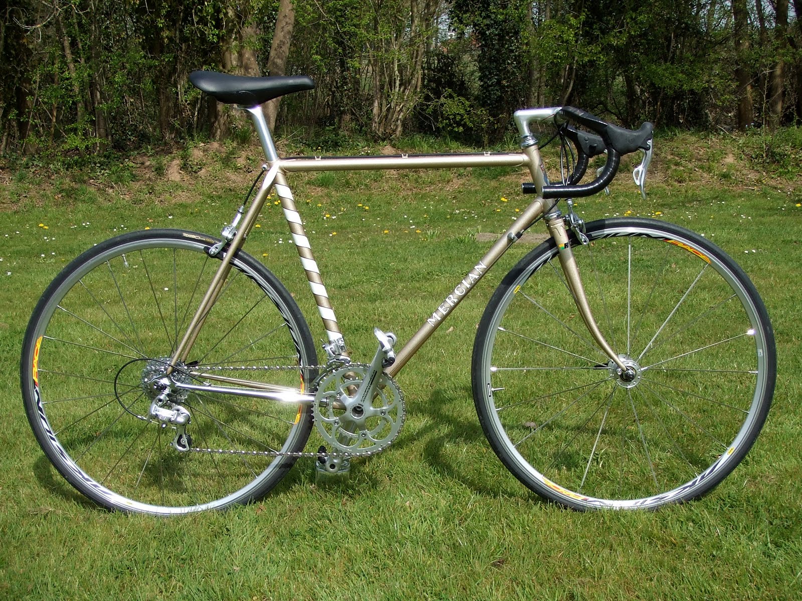 suzue classica