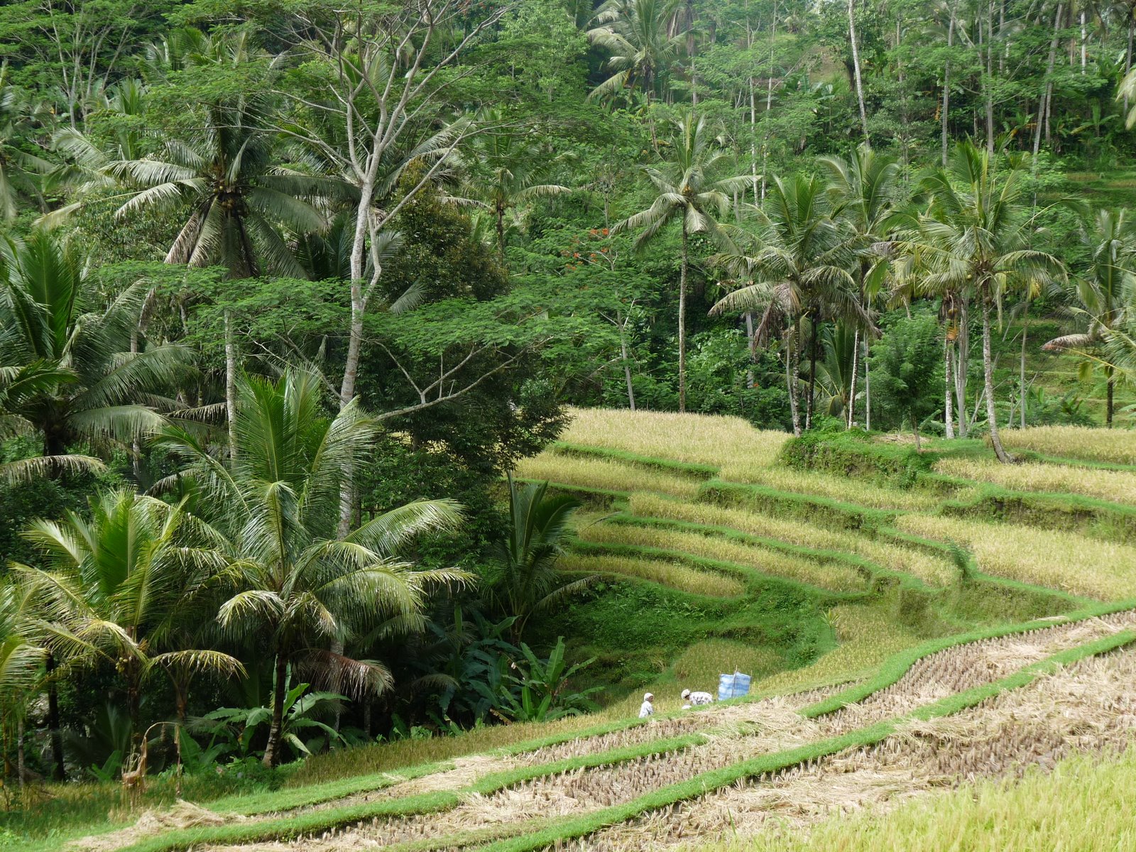 [P1000566.JPG]