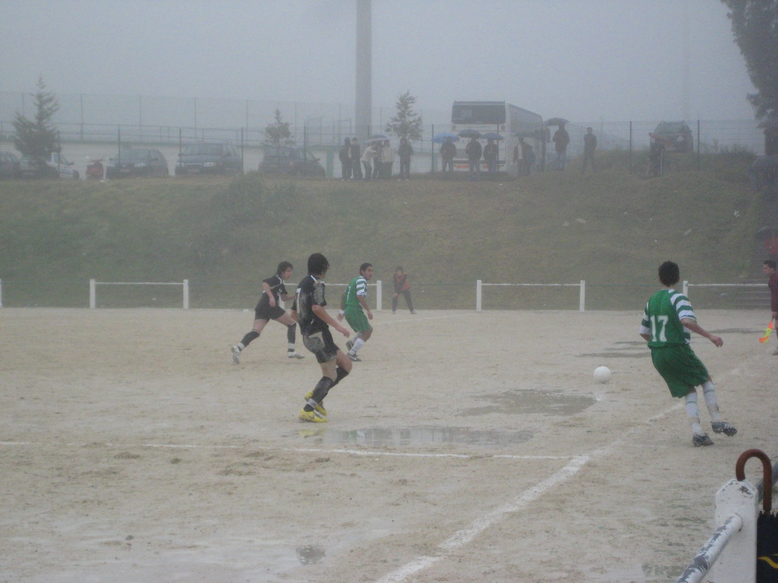 [IMG_3667.JPG]
