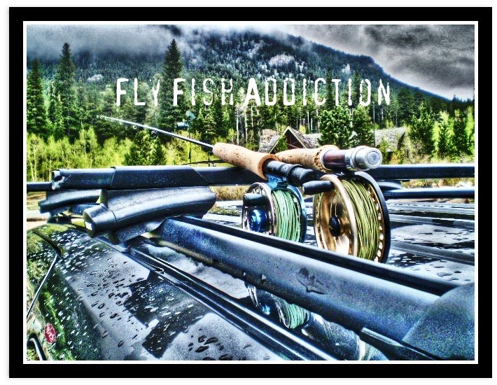 Fly Fish Addiction