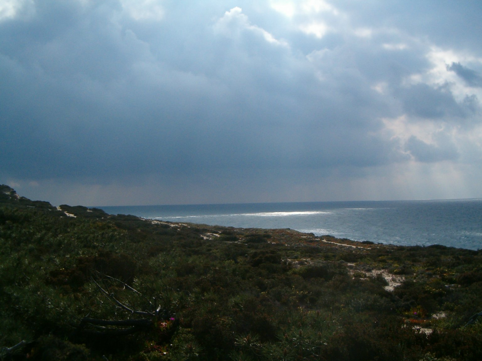 [HPIM0178.JPG]