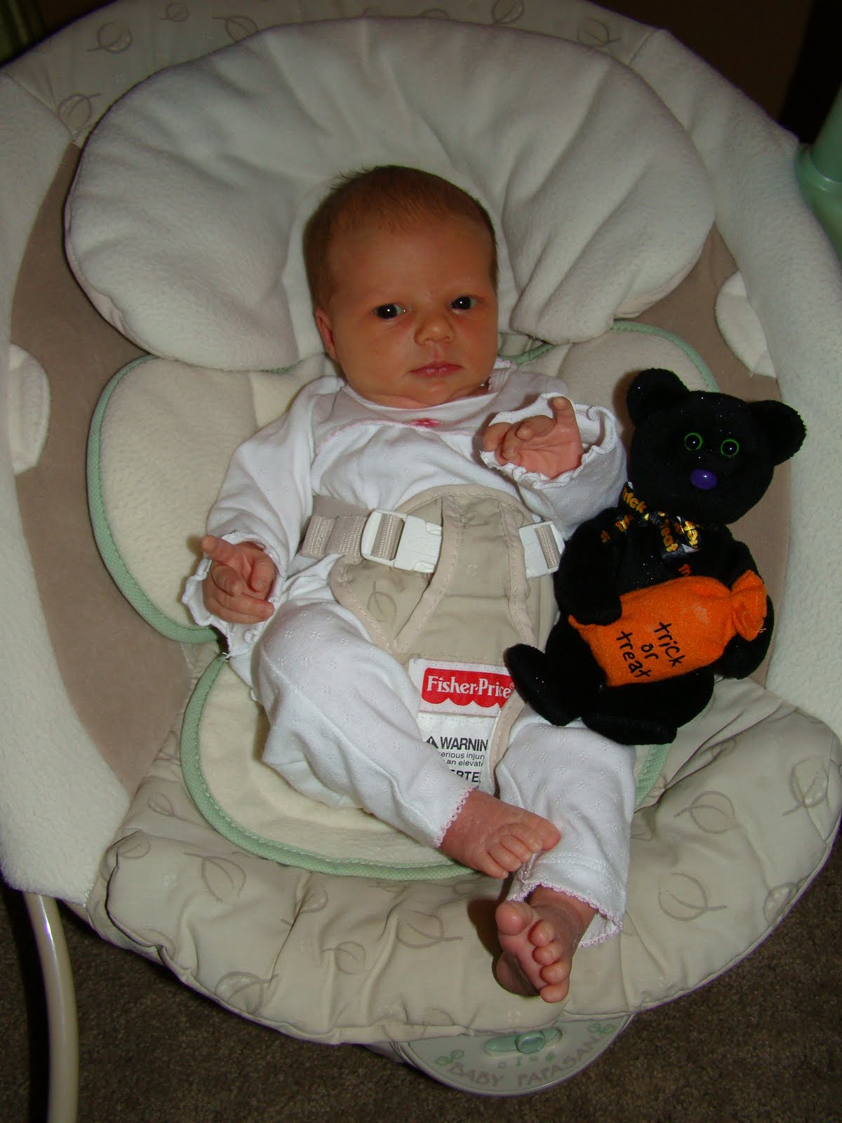 Zen baby, Zen 3 weeks of baby Jade