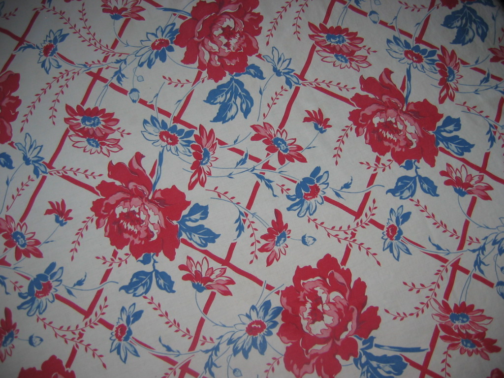 [red+&+blue+tablecloth.JPG]