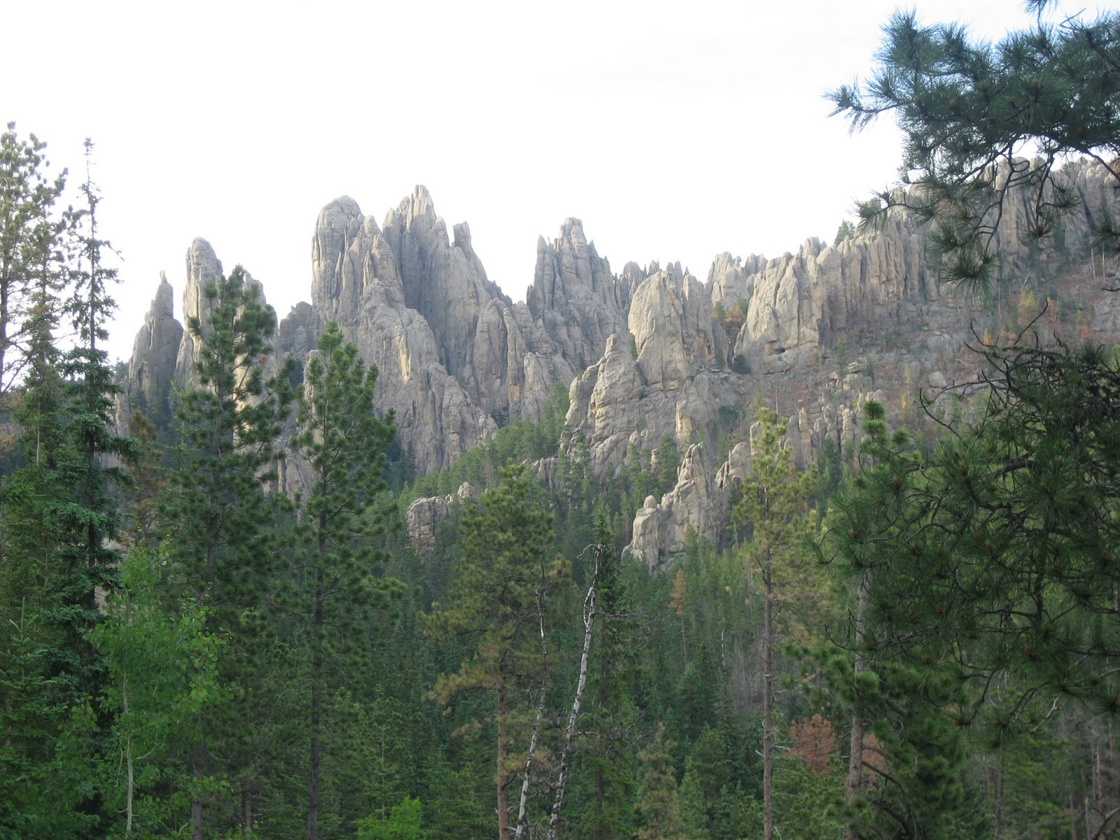 [2009_07_04_054.JPG]