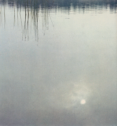 [Agua+y+reflejo.gif]