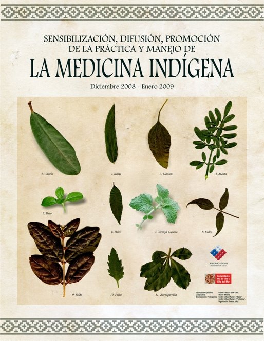 Afiche Medicina Indígena