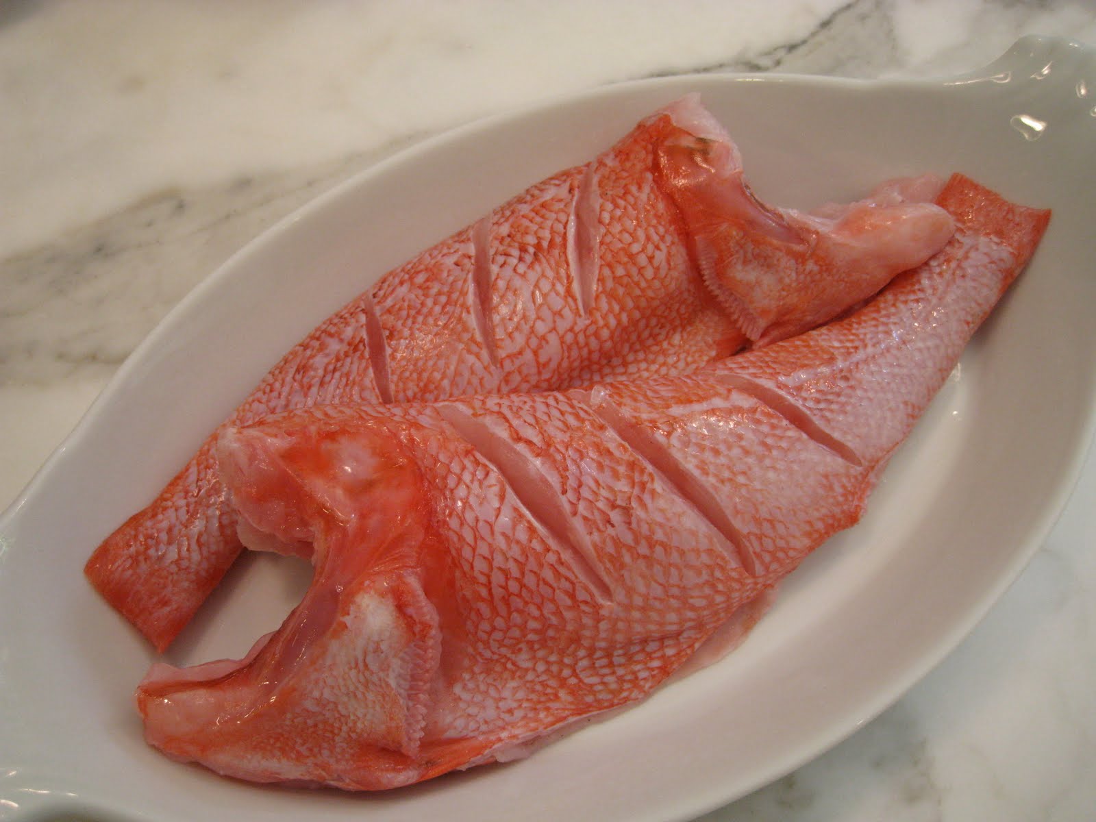 Kinki Channel Rockfish, A Red Beauty