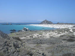 Bahía Inglesa.