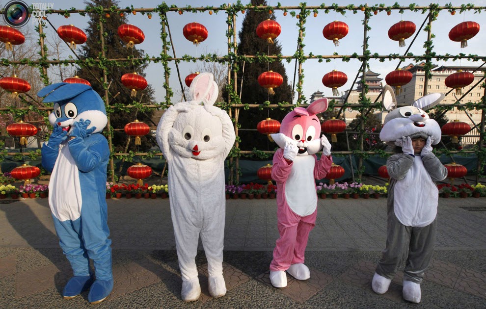 Chinese New Year: Year of the Rabbit | kkawan blogspot 2013