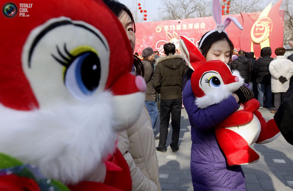 Chinese New Year: Year of the Rabbit | kkawan blogspot 2013