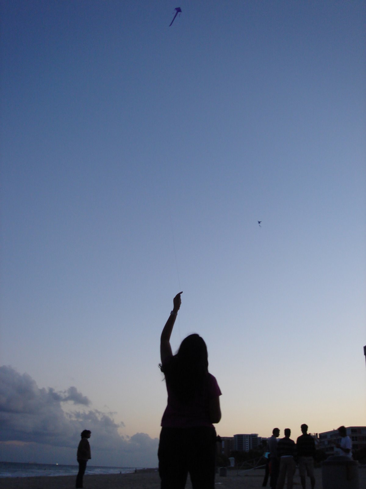 [DSC00029.JPG]
