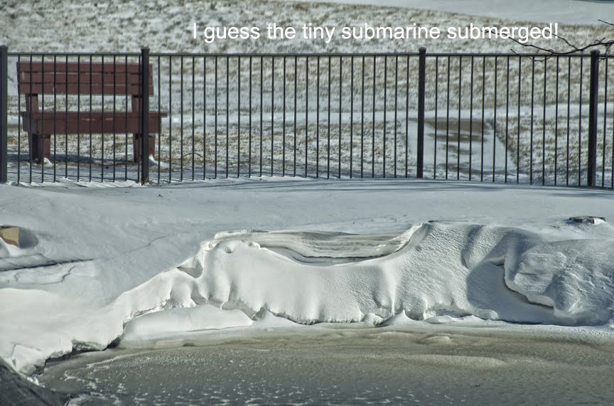 [winterfools.jpg]