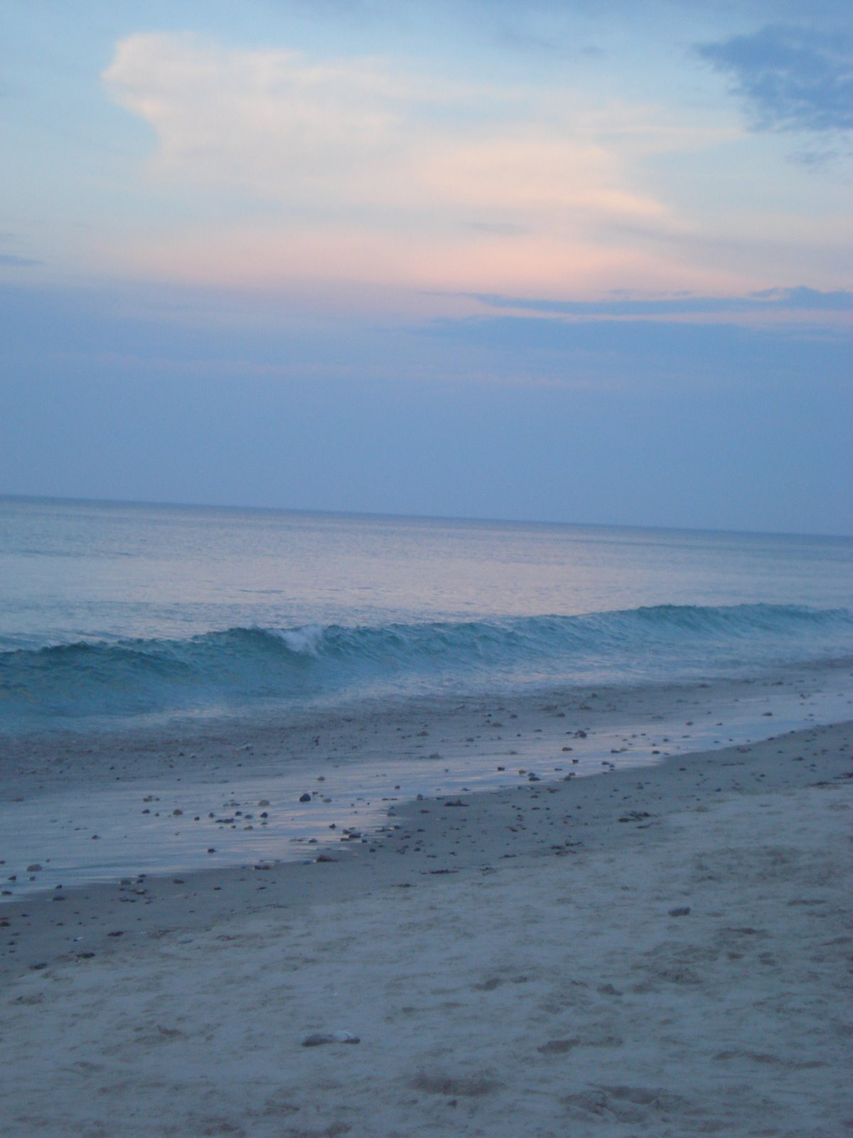 [DSC04460.JPG]