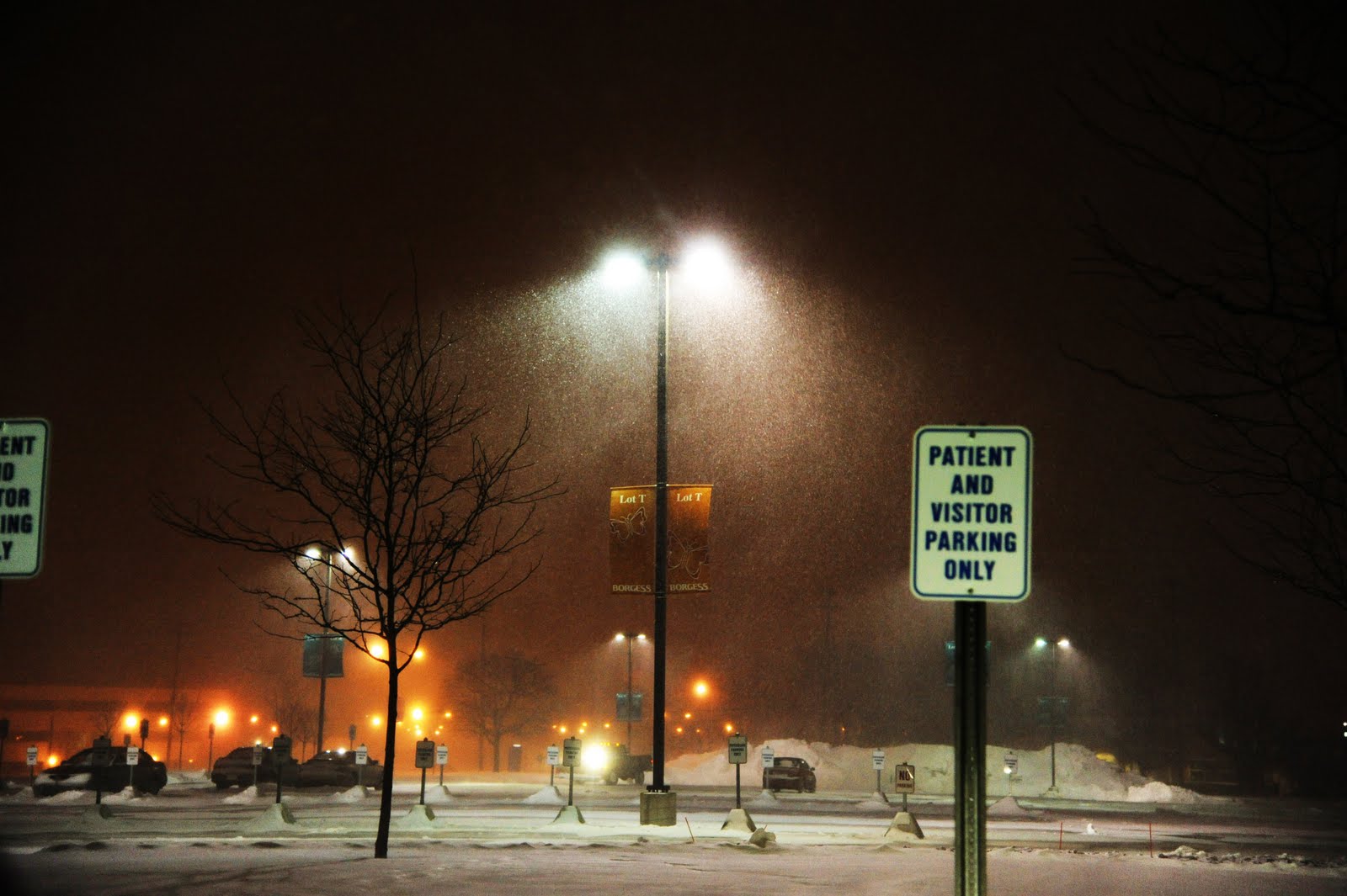 Kalamazoo In Pictures Kalamazoo/ Southwest Michigan Snow Storm winter