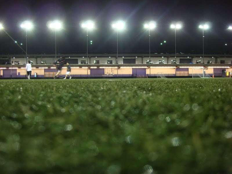 A People's Guide to New York City Pier 40/ FIERCE