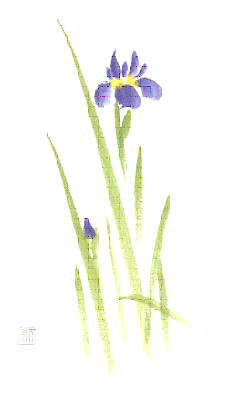 [image001-florais.jpg]