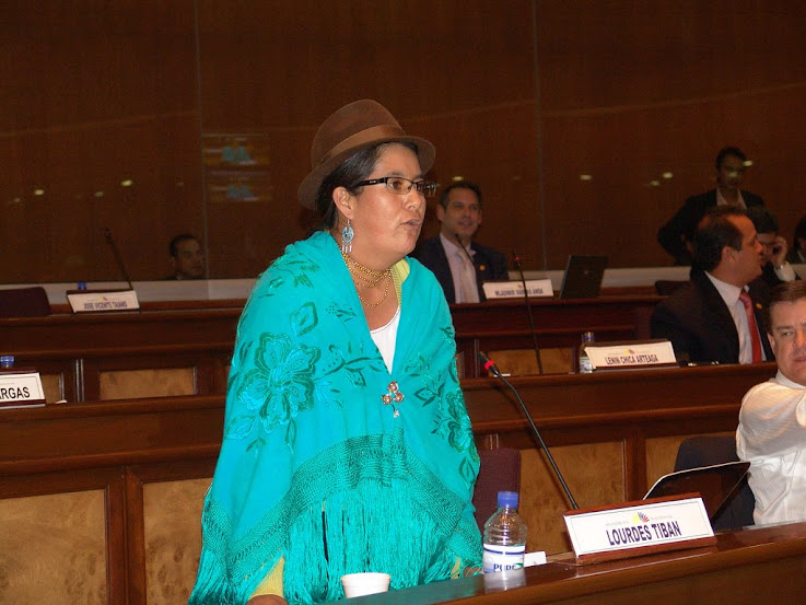 Primer debate en el Pleno del proyecto de Ley de Comunicación.