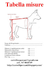tabella Misure per carrellino